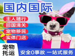百色巴马机场空运国际宠物托运 【国